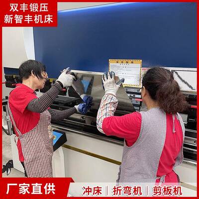 双丰110T×3000伺服数控折弯机卧式液压板料折边机金属板材加工