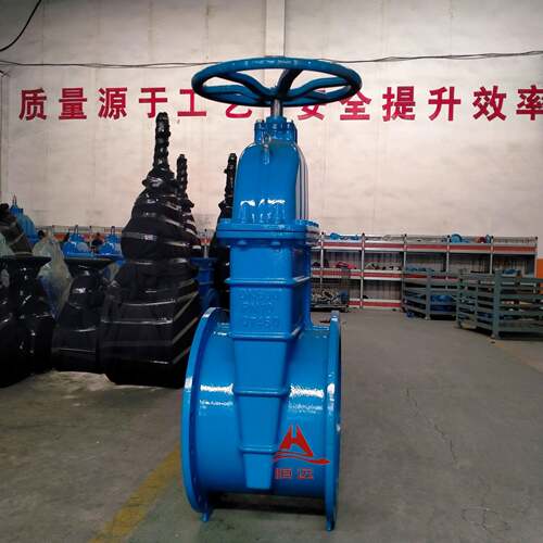 恒亚加工生产软密封闸阀球磨铸铁法兰闸阀Z45X/Z41X大口径手动低