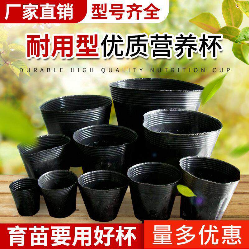 营养杯育苗杯黑色厂家直供育苗袋加厚塑料营养袋优质营养钵育苗盆