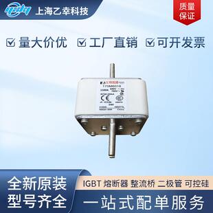 巴斯曼熔断器 170M6015 170M6016 170M6017 170M6018 170M6019