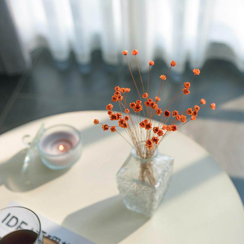 巴西小星花干花diy材料包迷你小雏菊花材摆件真永生花束干花