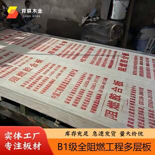 全阻燃板胶合板9mm装修隔墙吊顶B1难燃胶合板防火多层板工程隔断
