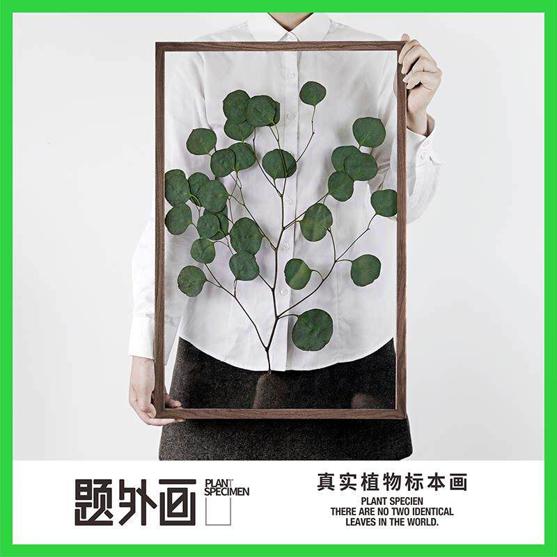 植物标本装饰画 画树叶教具幼儿园干 干燥花胡桃木手作摆件相框手