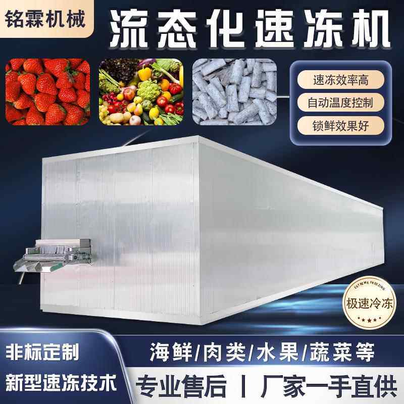 杨梅车厘子速冻流水线 枣糕面条速冻机 皮皮虾海参流态化速冻设备