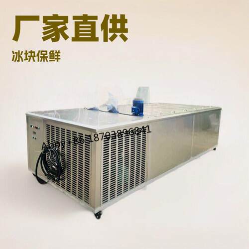 300kg500kg1t2t3t5t冰砖机商用制冰机经济型不锈钢制冰砖