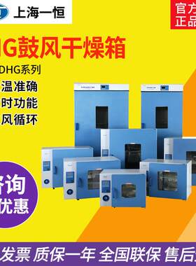 一恒DHG-9070/9140鼓风干 干燥箱实验室不锈钢数显电热恒温烘箱30