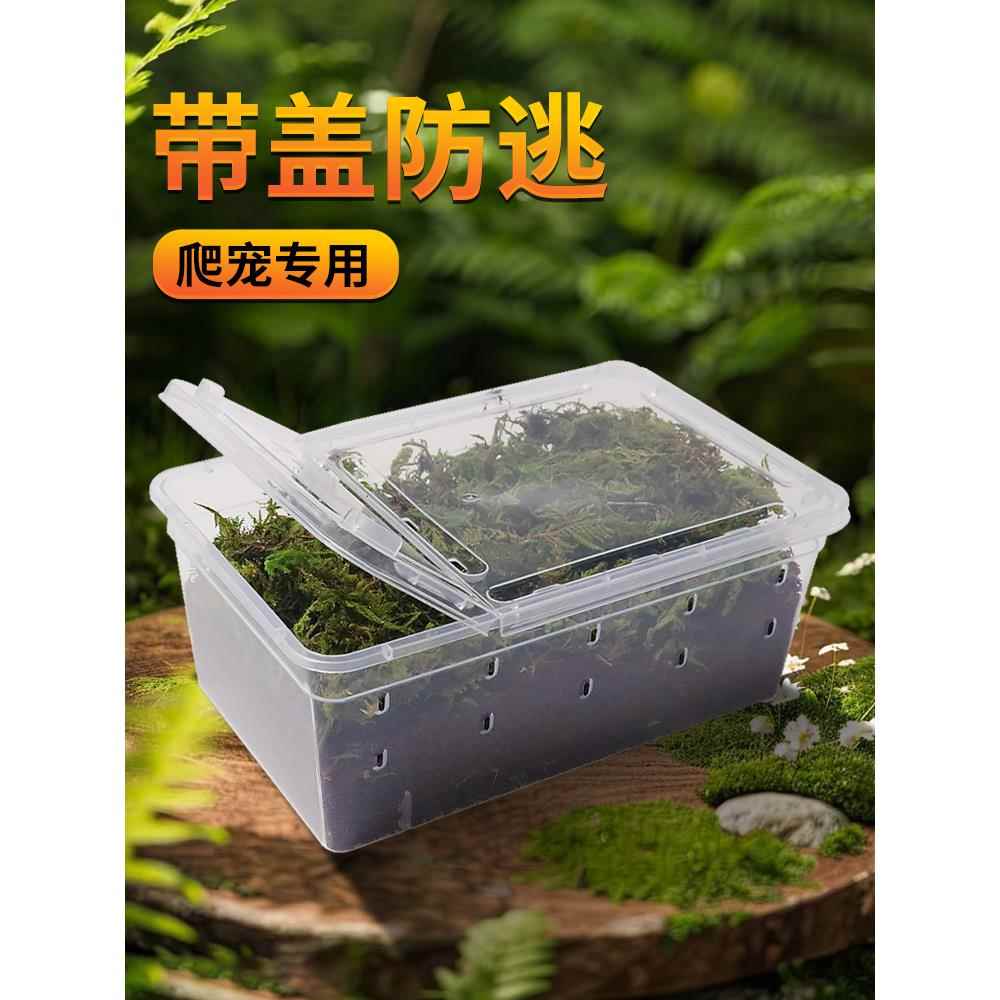 乌龟冬眠盒套装爬宠饲养箱免泡椰土过冬巴西龟专用饲养箱过冬爬宠
