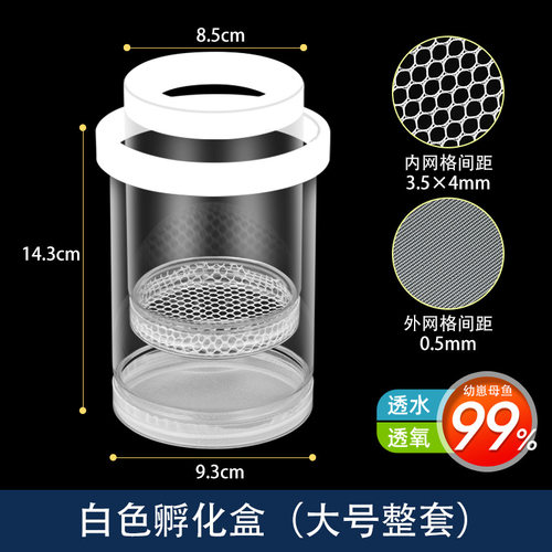 孔雀鹦鹉鱼隔板活体保护鱼缸隔离产房盒板悬浮小鱼苗内养漂浮生鱼
