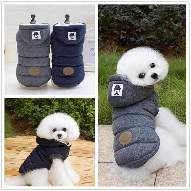 狗衣服服装小胡子两腿棉衣秋冬款泰迪狗宠物服装宠物衣服厂家