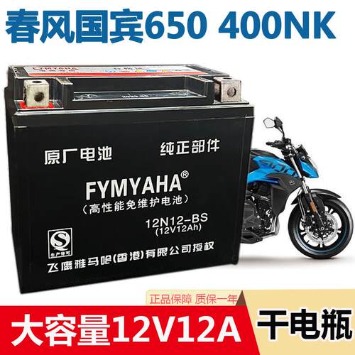 机车电瓶春风国宾650狒狒NK250捷马250/400NK/ZRX400免维护电池