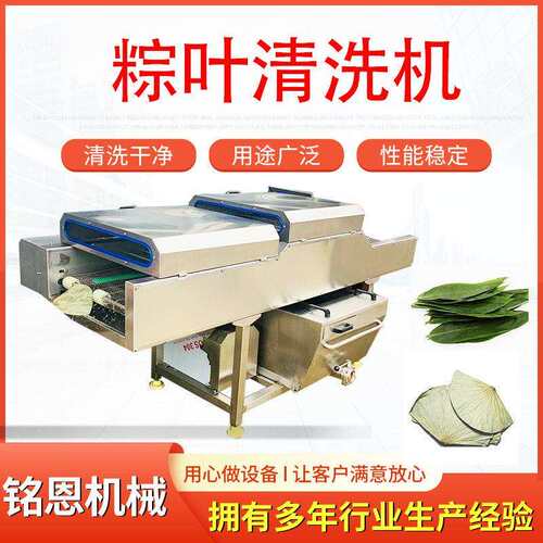粽叶清洗机芦苇叶清洗设备毛刷自动垫片清洗机洗叶子设备