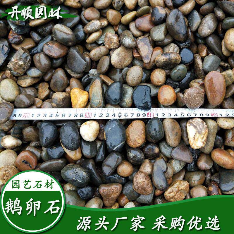 销售精品鹅卵石家装园林郑州小路鹅卵石价格优惠