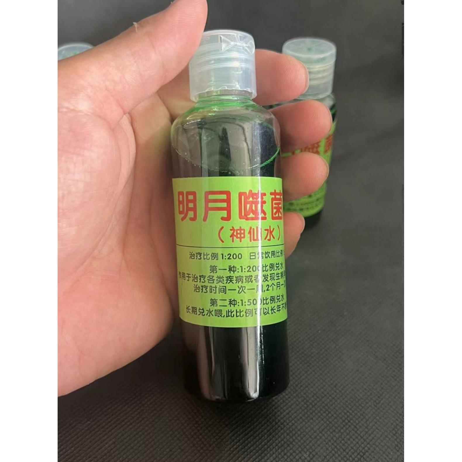 明月食菌者