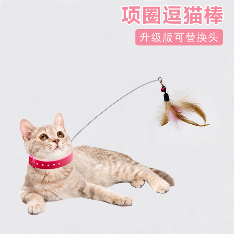 可替换猫咪项圈项圈宠物智能玩具