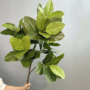 仿真高山榕富贵榕叶子黄金榕孟加拉榕树枝大枝绿植落地盆栽插花叶