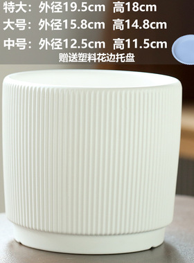 蝴蝶兰陶瓷花盆托盘批发直销花瓶