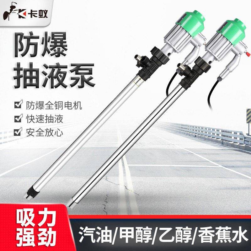 220V电动防爆抽油泵/不锈钢抽液泵/甲醇汽油抽油泵/加油泵