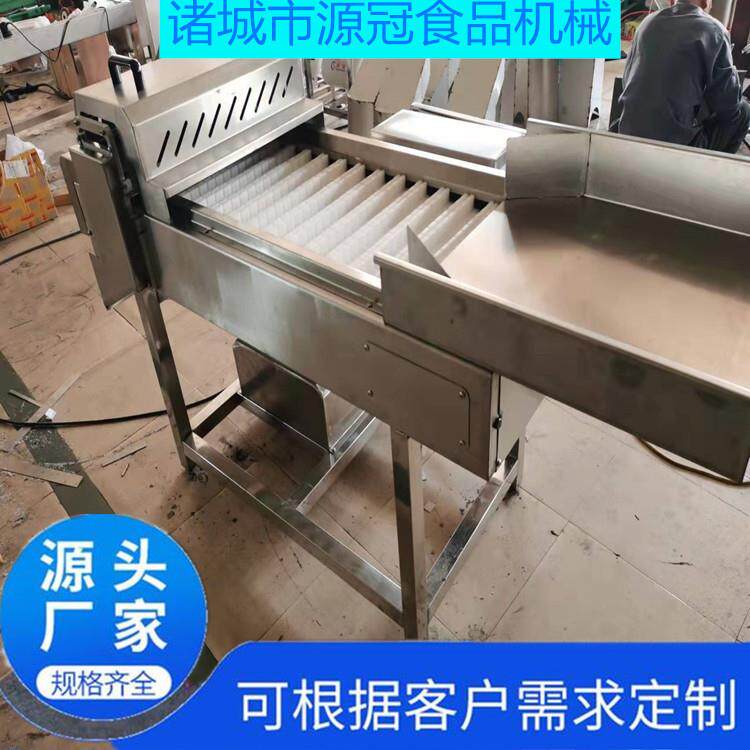 鱼皮切段机连续式鱼皮卷切断机自动海参切块设备切割均匀