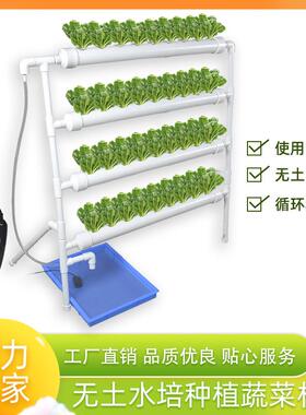 广东德力生产管道水培种植机跨境电商无土栽培阳台无土蔬菜种植机