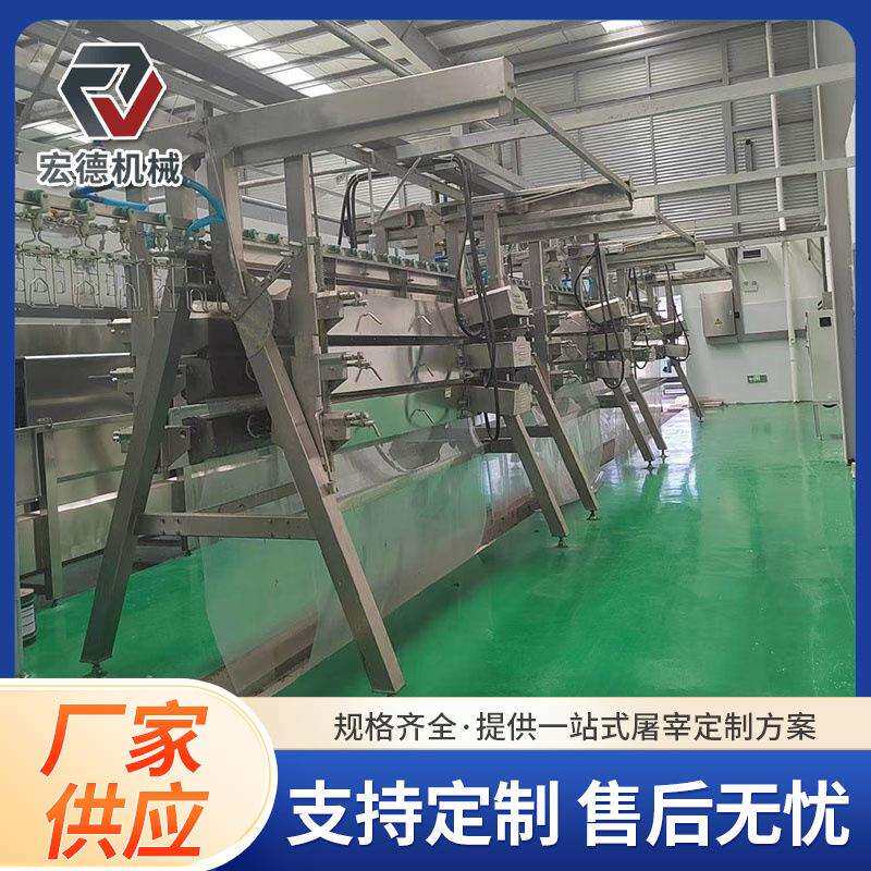 屠宰场大型淘汰蛋鸡宰杀设备家禽全自动脱毛设备肉鸡宰杀流水线