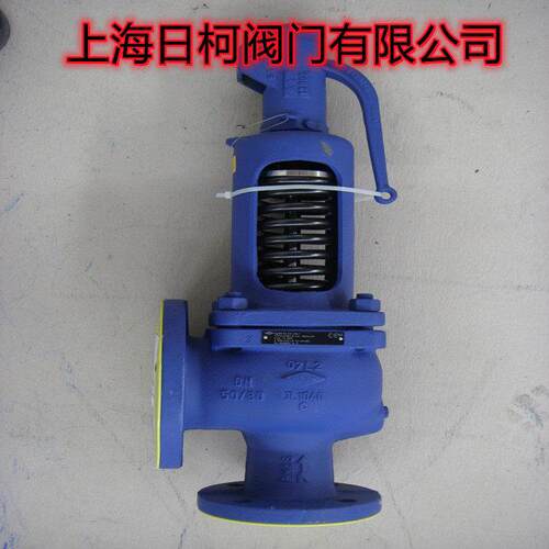 DN32*DN50安全阀_德国ARI艾瑞Fig.901安全阀DN32*DN50_FIG.902