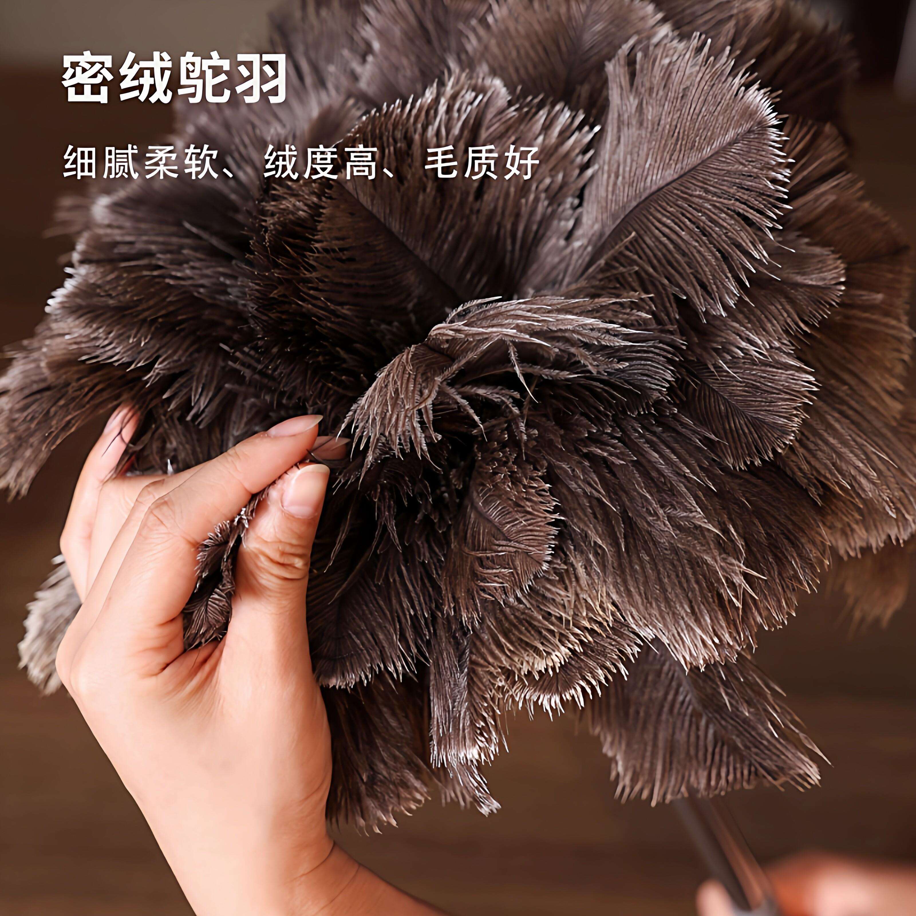 天然鸵鸟毛撢洁子可客伸缩鸡防静电厅书架除尘缝隙清毛撢子