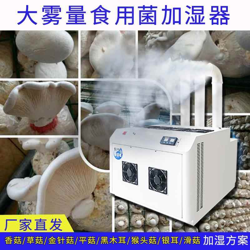 食用菌大棚加湿设备 木耳虫草菌类蘑菇增湿机 养殖厂大功率加湿器