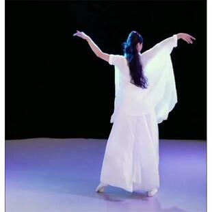 正品世界赠予我逸的服装夏辉同款现舞演出服代飘纱宽松古典衣舞服