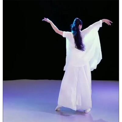 正品世界赠予我逸的服装夏辉同款现舞演出服代飘纱宽松古典衣舞服