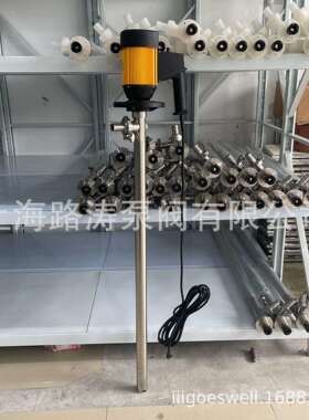 HD-E2-V+SS304-1200HP耐腐蚀插桶泵不锈钢化工油桶泵电动抽液泵