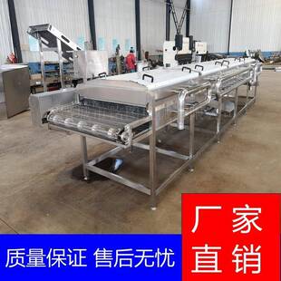 清供应椰枣清洗机 大挑选加PL-400工设 备椰枣枣喷淋洗机