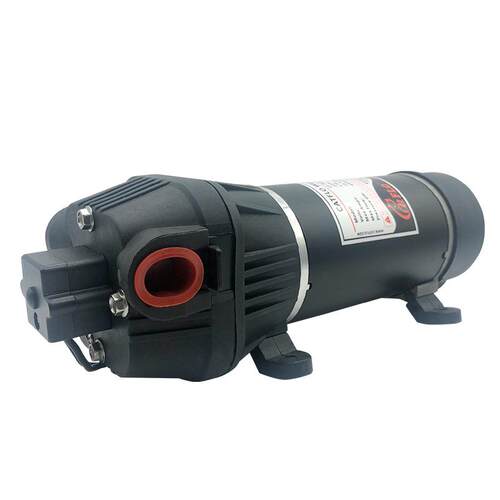 福安市110V/220V隔膜泵FL-40系列高温食品级泵电动隔膜泵