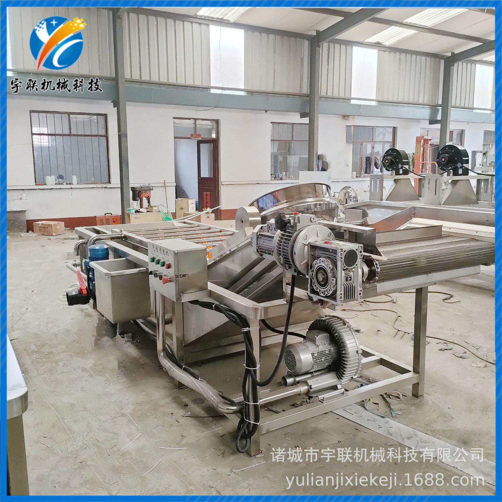 链板式清洗机果蔬清洗流水线萝卜清洗设备喷淋式清洗机