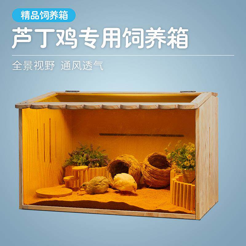 亚克力全套观赏笼芦丁鸡饲养箱育雏专用恒温笼宠物窝别墅芦丁鸡房