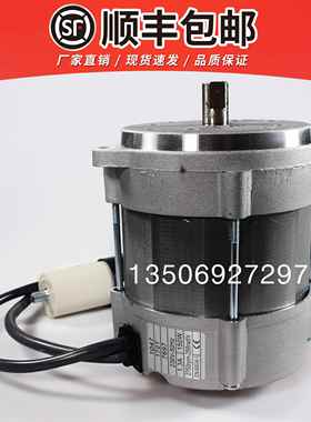 172T 150W R.B.L RHE利雅路燃烧器FS20电机FS5 FS10电机马达GS20