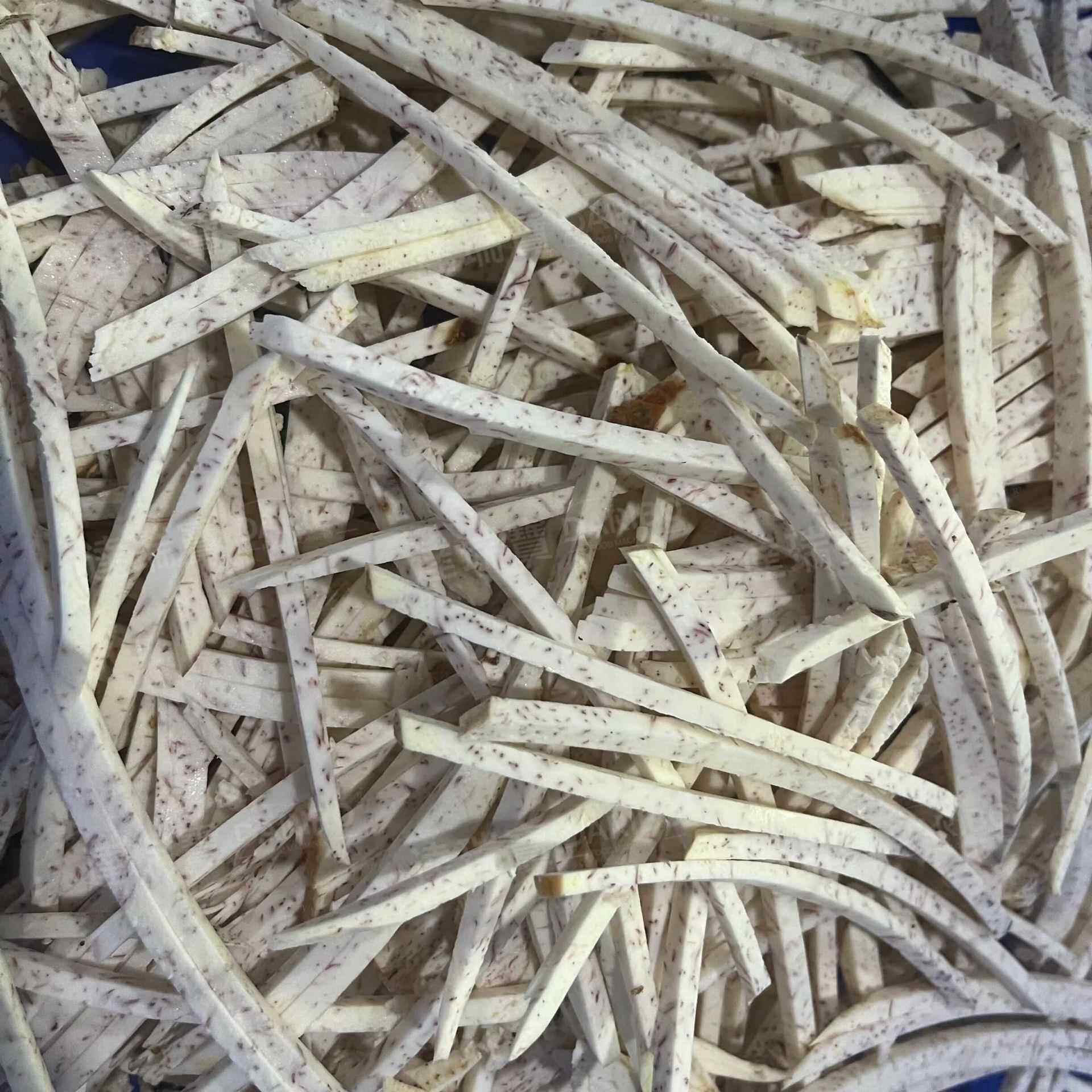 W葱切丝机 大丝型洋葱圈机 莴笋洋切片切XNS机 切大蒜切片机工厂