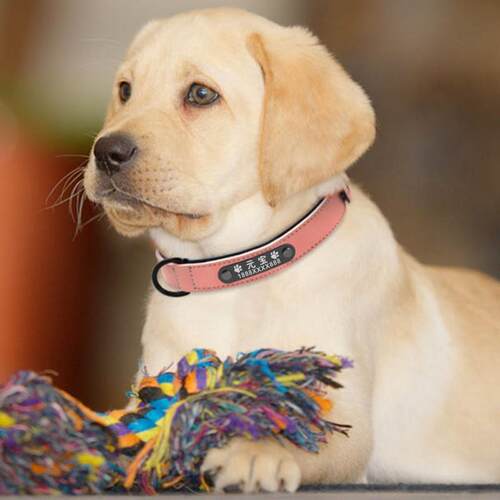 跨境宠物刻字项圈大型犬小型犬防丢皮革脖圈锭制可调节训狗牌颈圈