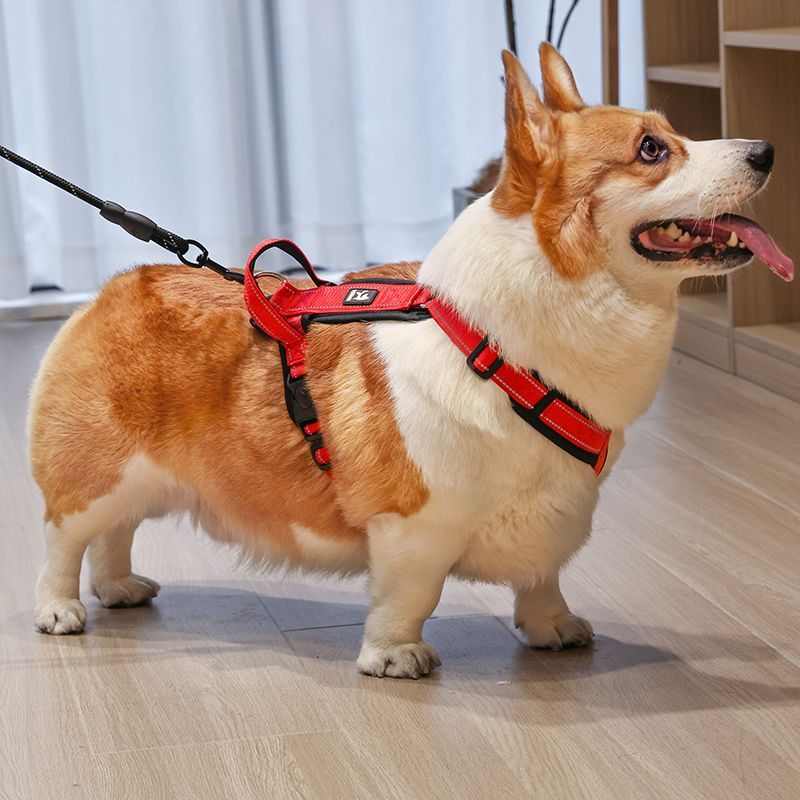 狗狗牵引绳背心式中型犬柯基柴犬胸背带小狗绳宠物外出牵引绳狗链