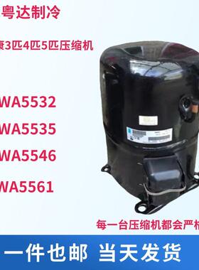 AVA5535EXG 3P4匹5匹 AVA5546 AV5561EXG全新泰康冷库鱼池压缩机