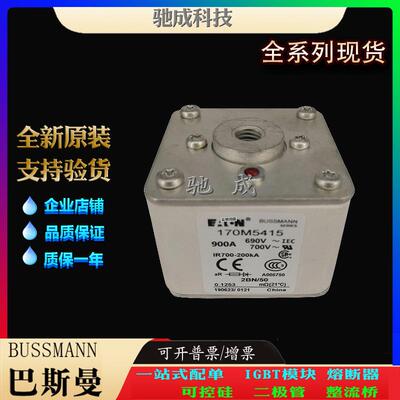 巴斯曼170M5417 170M5418 170M5422 现货直销优价供应 原装熔断器