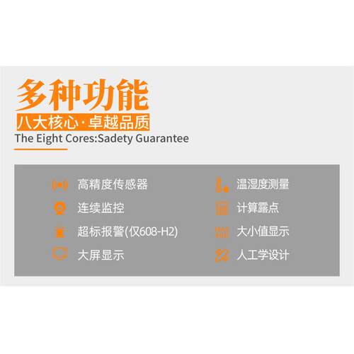 德图testo608H1温湿度计高精度精准室内家用挂式电子显示器湿度表