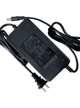 芯灵24V36V48V51V电动自行车锂电池组三段式智能型充电器 可转灯