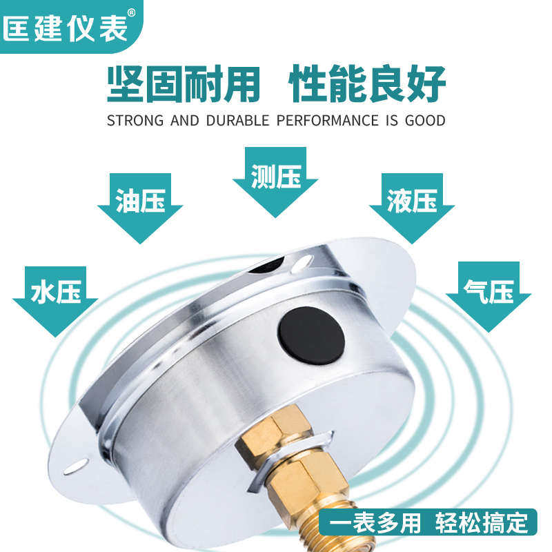 YTN-60ZT耐震压力表充油轴向液压表面板式安装油压液压表0-1.6mpa