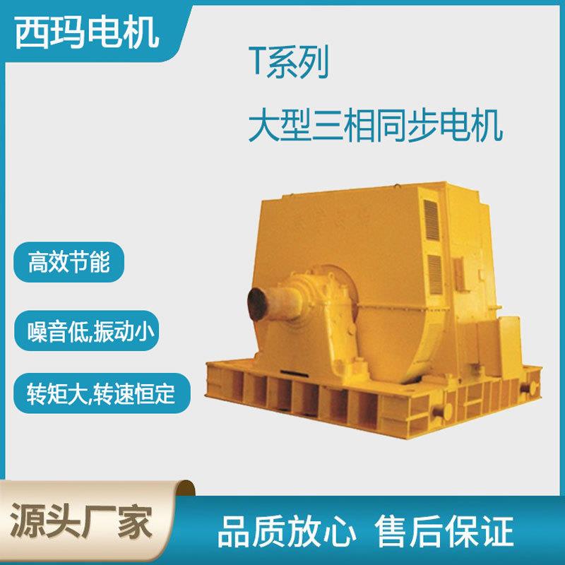 西安泰富西玛电机T3200-8/1730 3200KW6KV高压交流三相同步电动机