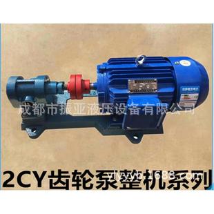 润滑泵 2.5齿轮油泵 燃油泵 齿轮泵 抽油泵 2CY 高压泵增压泵 7.5