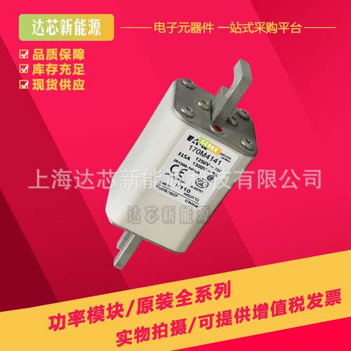 170M4008 170M4009 170M4010 170M4011 170M4012 170M4013熔断器