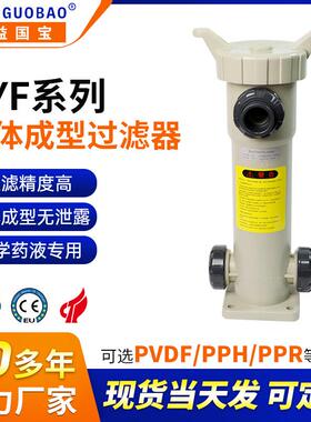 RYF系列高精度不锈钢管式过滤器 一体成型小型化学药液过滤器厂家