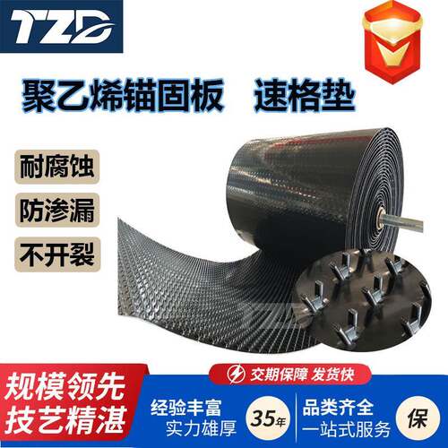 PE聚乙烯锚固板混凝土保护衬垫耐腐蚀防渗漏建筑防水加固锚固板