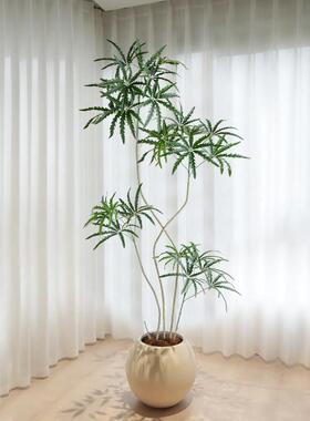 大仿真绿型植孔雀木室DKP内客仿厅落装饰花高级生植物地盆栽盆景