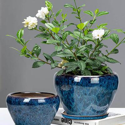 flowerpot ceramic simple large indoor plant pot with tray